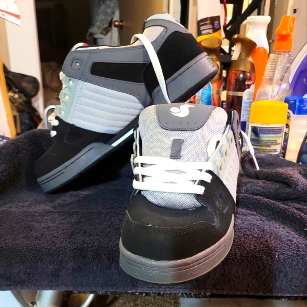 Dvs shoes